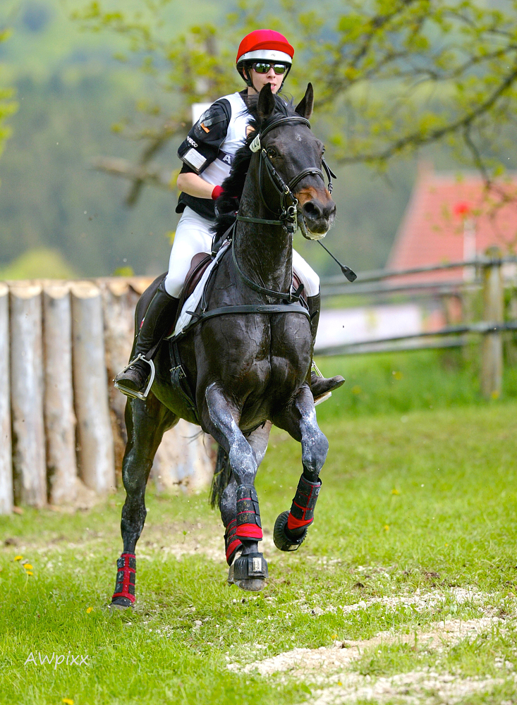 Marbach Eventing/Vielseitigkeit 2014