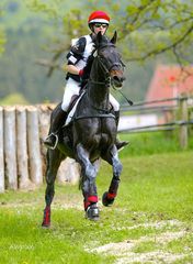 Marbach Eventing/Vielseitigkeit 2014