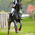 Marbach Eventing/Vielseitigkeit 2014