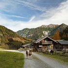 Marbachalm im Herbst