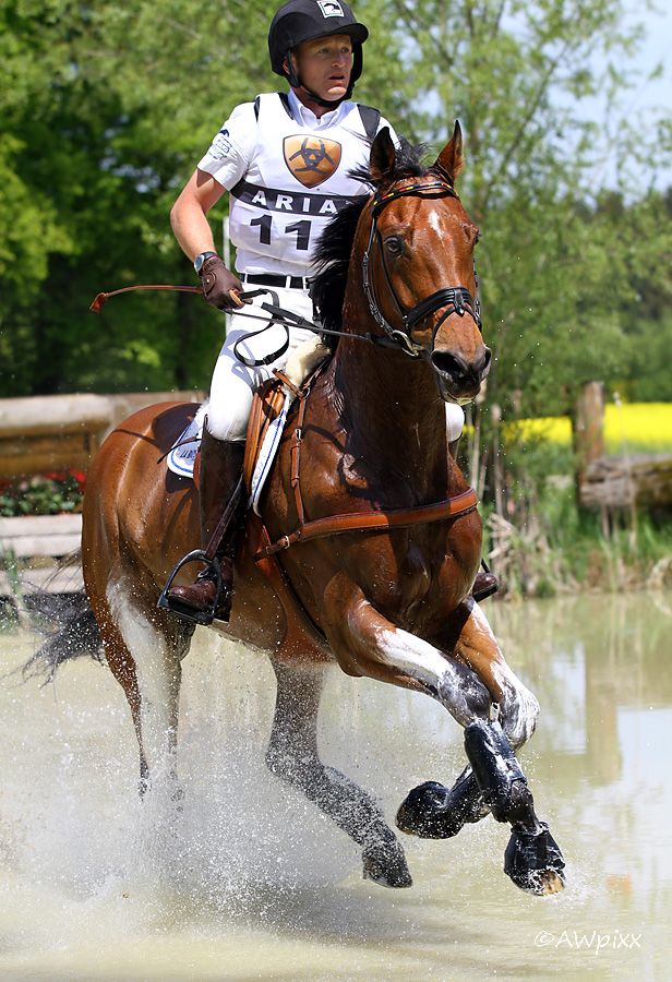 Marbacher Vielseitigkeit -Michael Jung auf FBW Sam-Nr.2