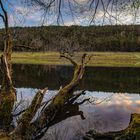 Marbachstausee ODW.jpg