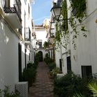 Marbella (9)