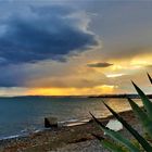 MARBELLA del MAR / FREDERIC GALLAIRAND