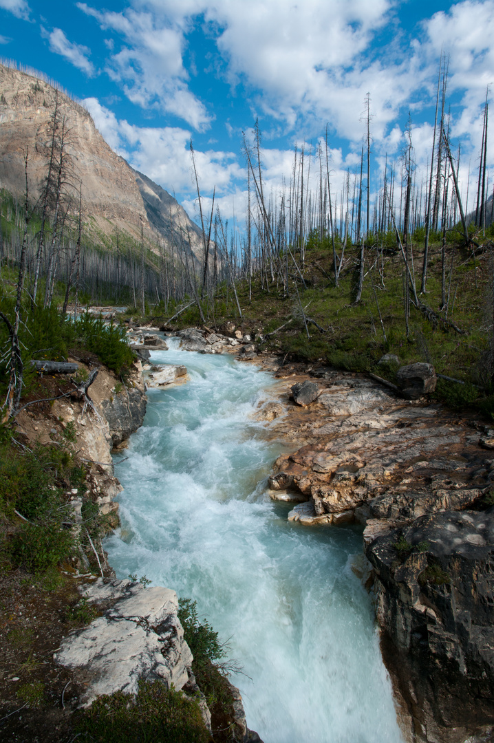 Marble Canyon im Kootenay Nationalpark