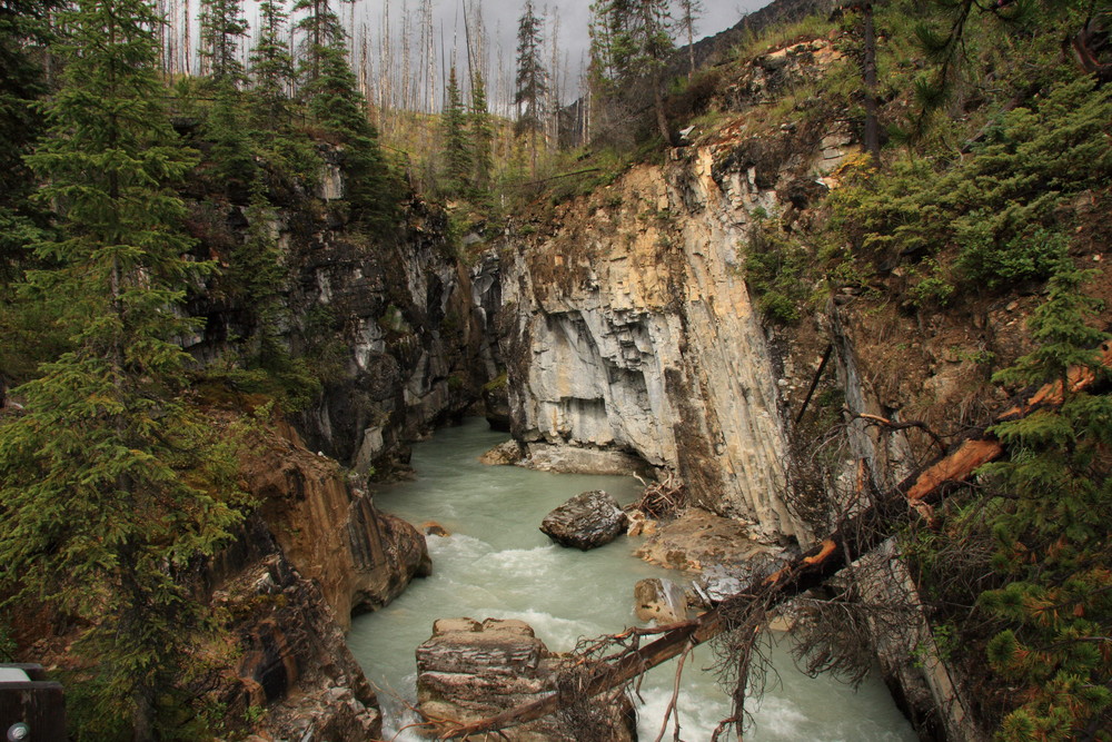 Marble Canyon im Kootenay Nationalpark