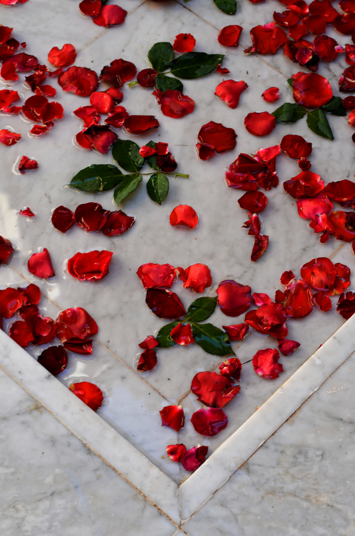 Marblebed of Roses