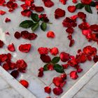 Marblebed of Roses