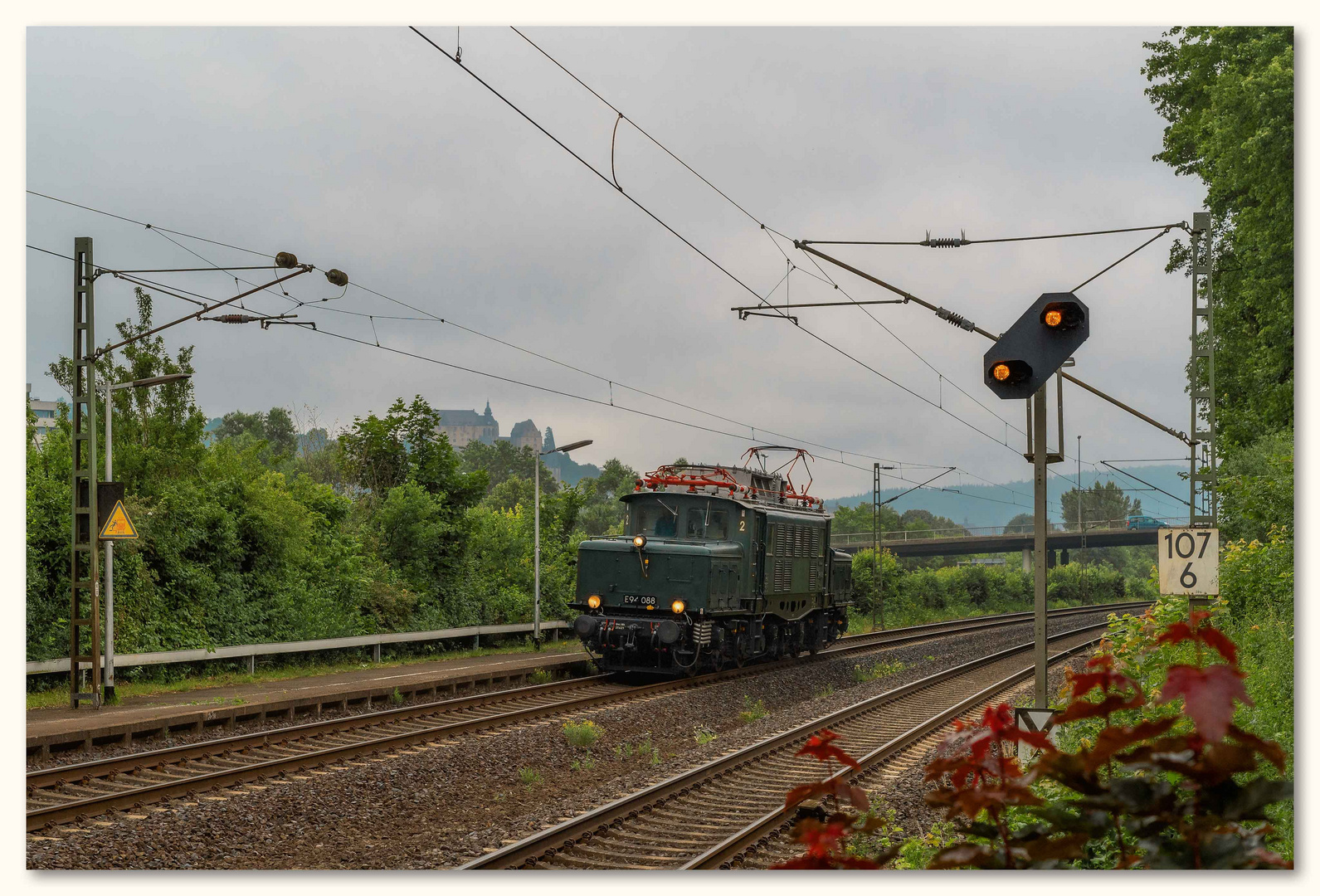 Marburg ist grün...