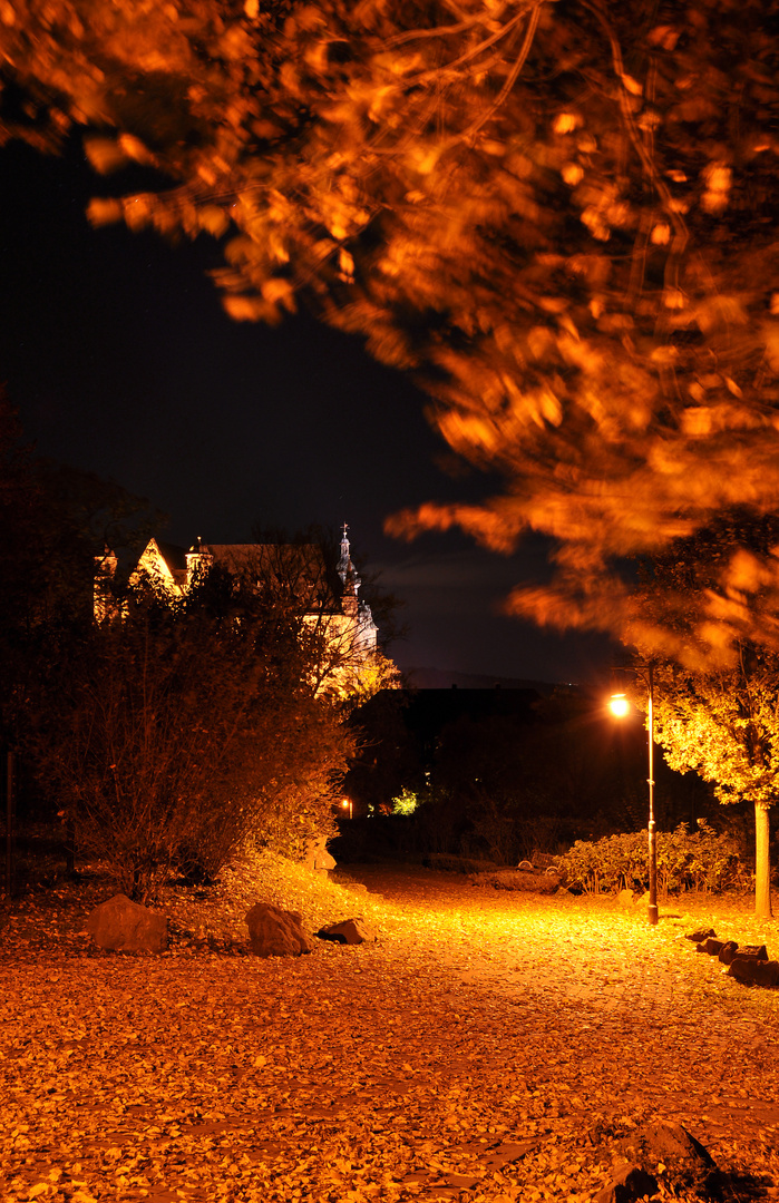 Marburg Schlossgarten