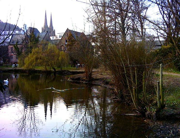 Marburg: Teich im Alten Botanischen Garten