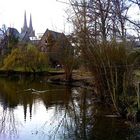 Marburg: Teich im Alten Botanischen Garten