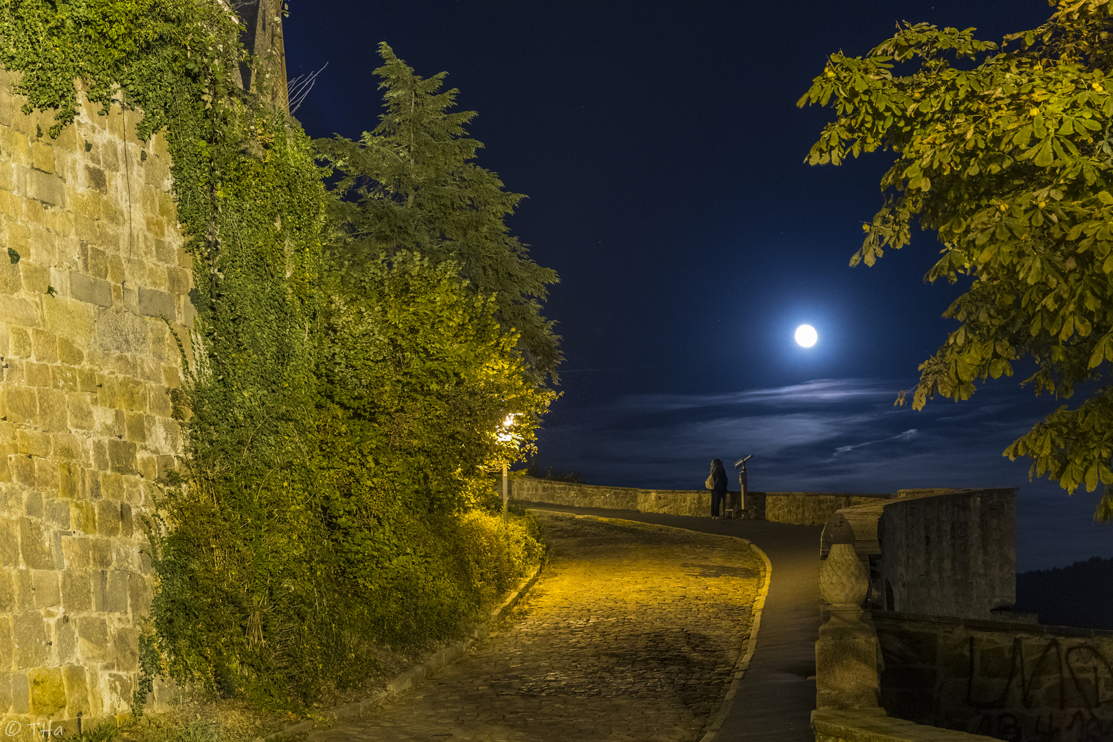 Marburg | Weg zum Schloss bei Vollmond