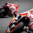 Marc Marquez / MotoGP Sachsenring 2014