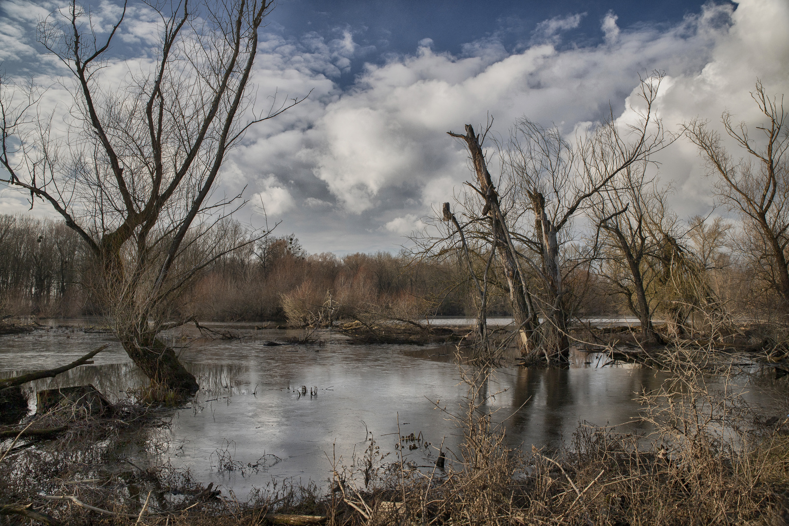  March-Thaya-Auen I