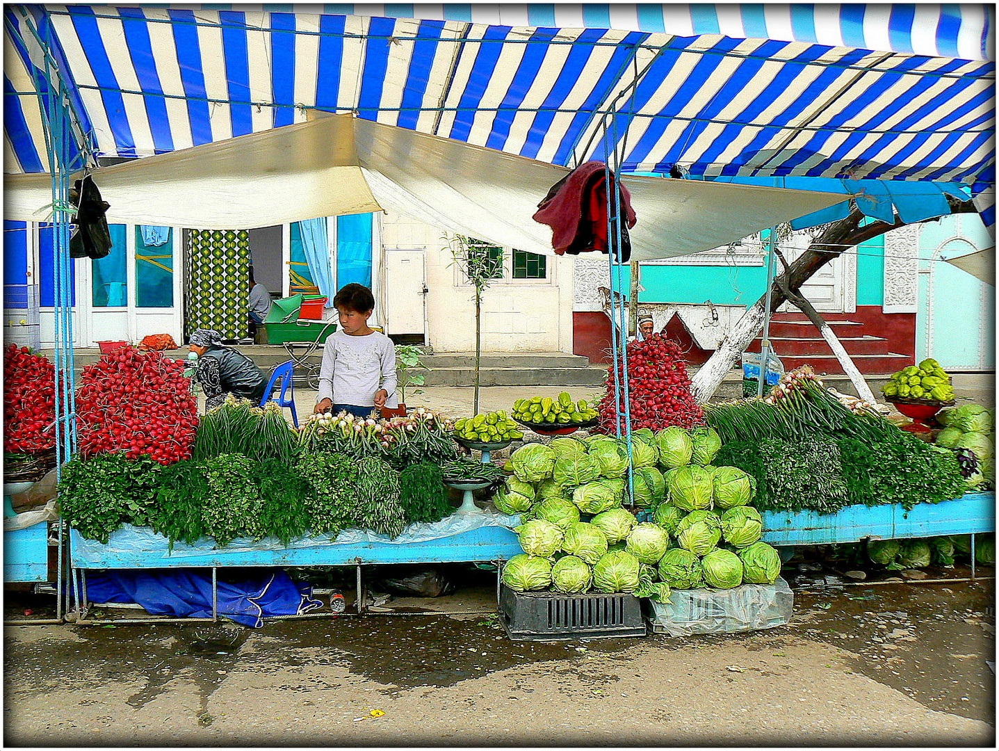 MARCHAND - DE - LEGUMES