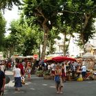 Marché a Cotignac