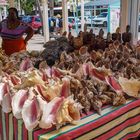 Marché à Marigot (Saint-Martin)-1