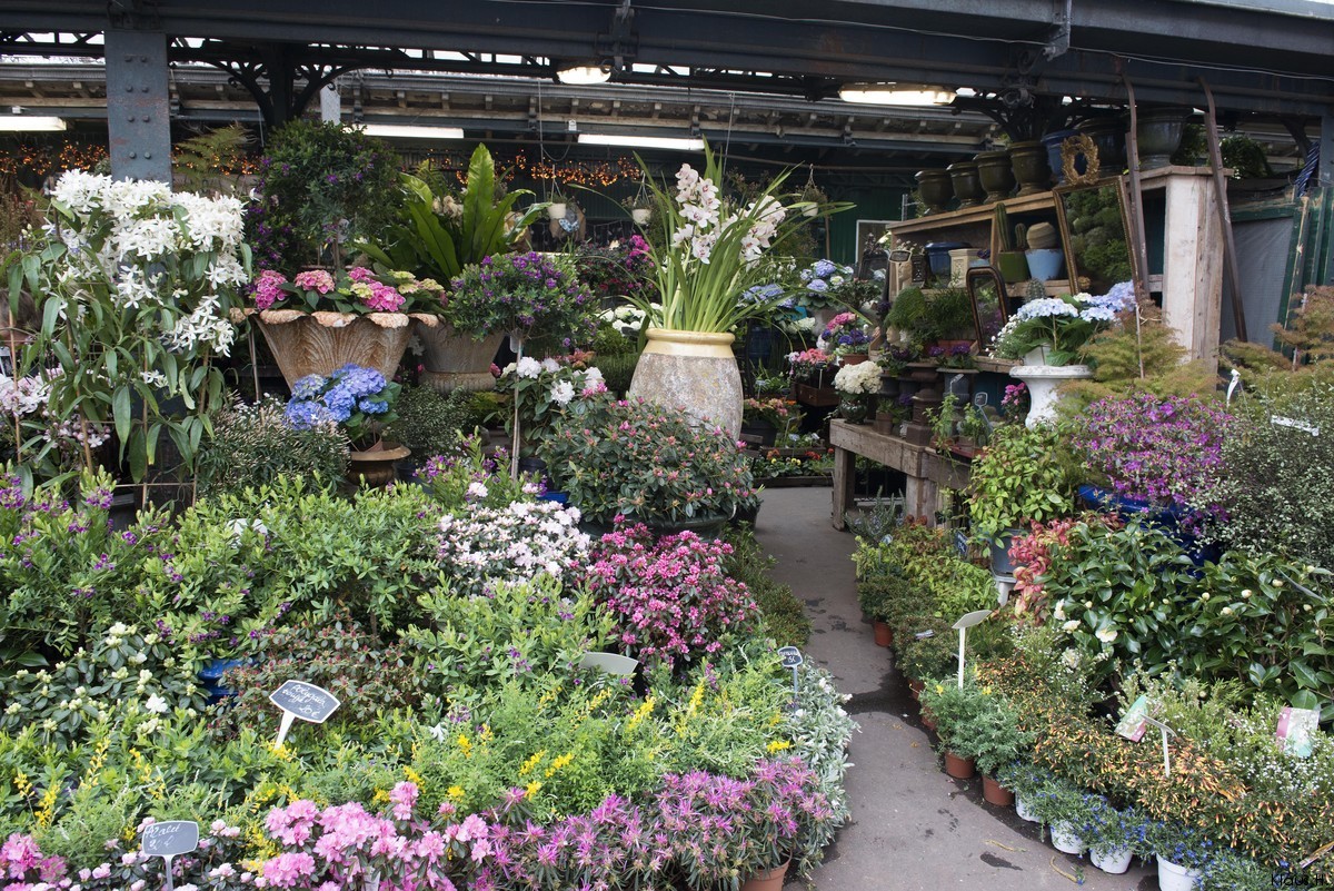 ~ Marché aux Fleurs ~