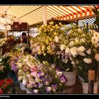 Marché aux Fleurs