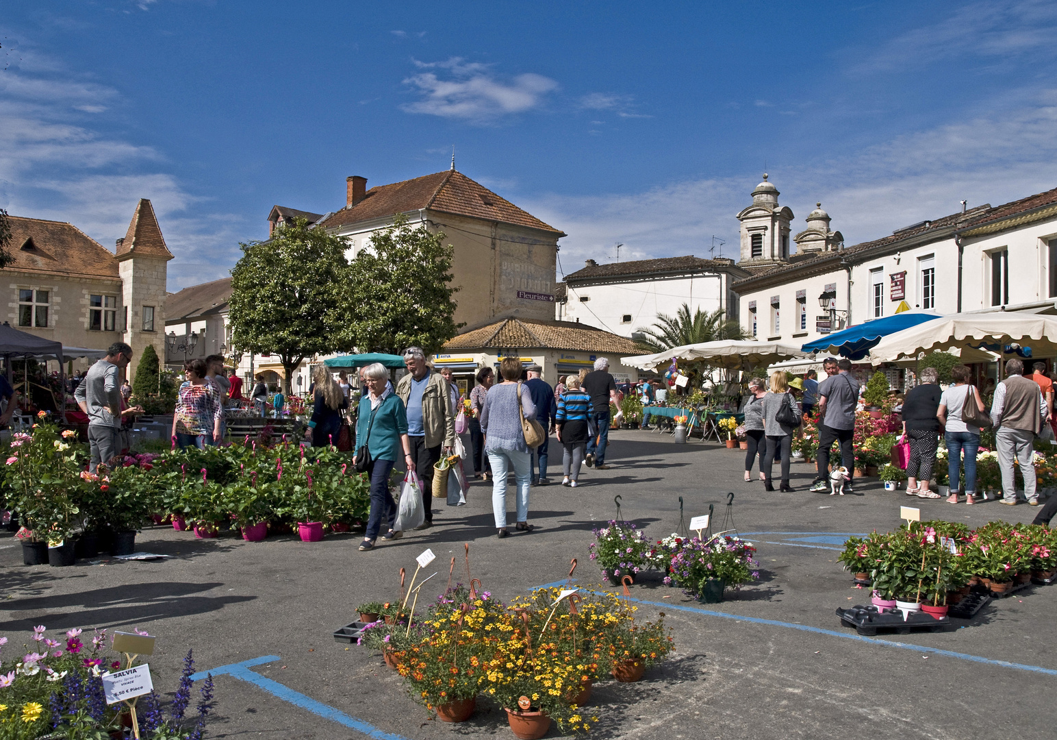 Marché aux fleurs à Nérac