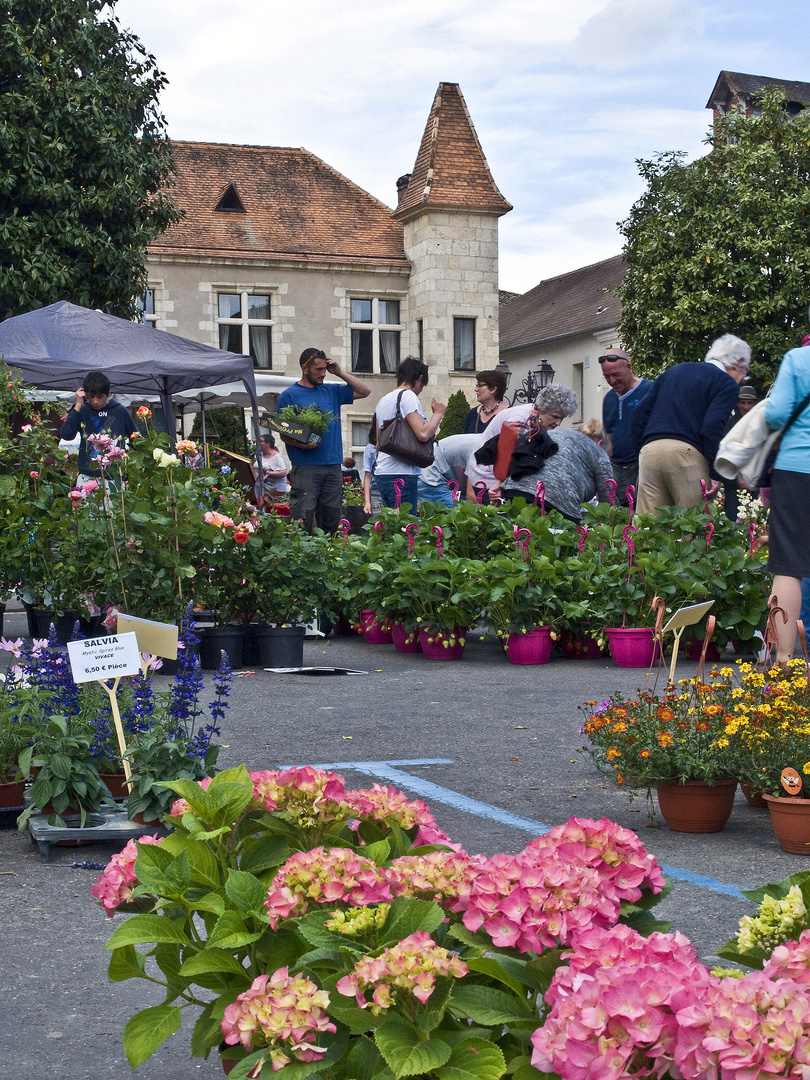 Marché aux fleurs à Nérac (Lot-et-Garonne)