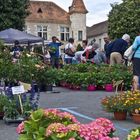 Marché aux fleurs à Nérac (Lot-et-Garonne)