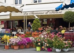 Marché aux fleurs à Nérac (Lot-et-Garonne)   --  Blumenmarkt in Nérac