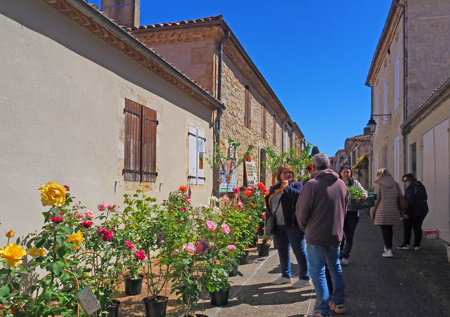 Marché aux fleurs dans le village de Blaziert