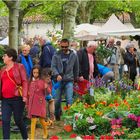 Marché aux fleurs de Fourcès…