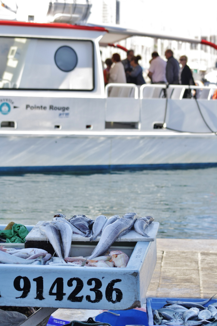 Marché aux poissons pour Marseillais et touristes sur le Vieux Port.