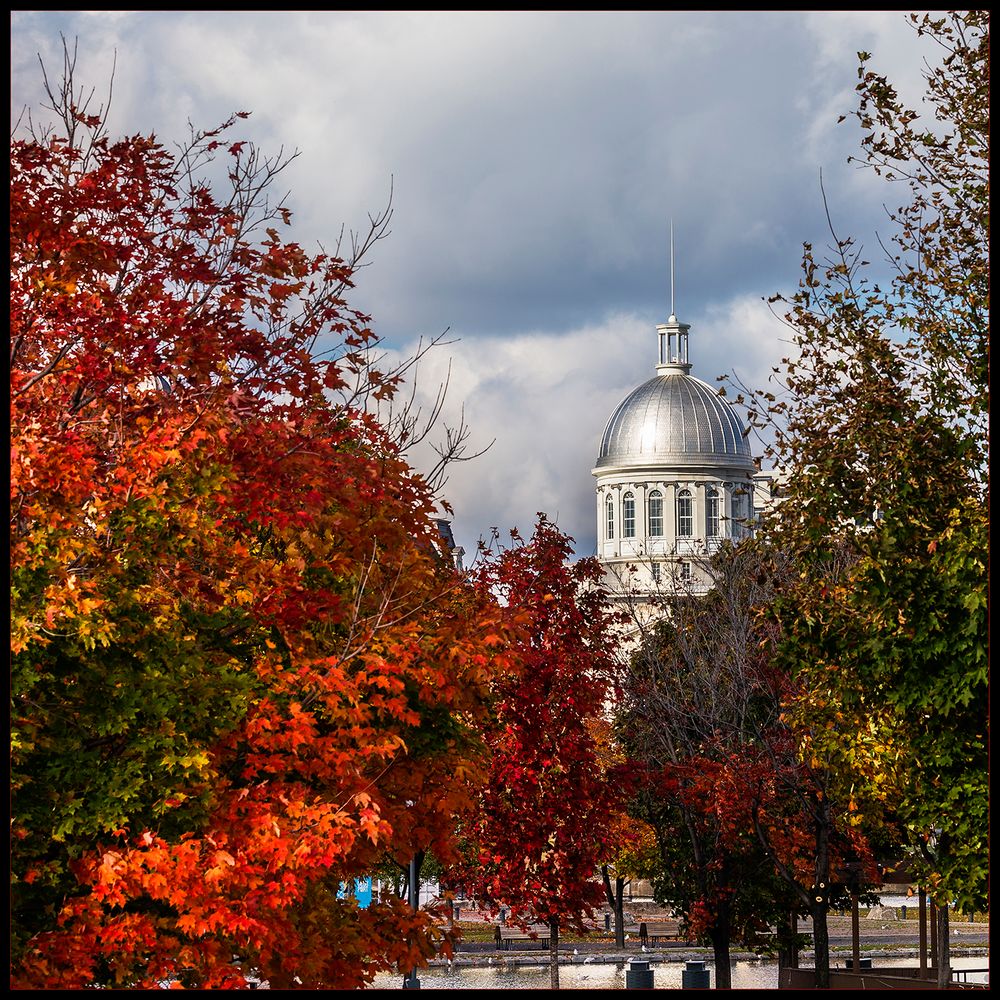 Marché Bonsecours