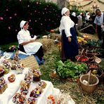 MARCHE CAMPAGNARD  EN  SOLOGNE