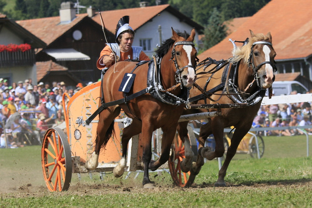 Marché Concours Saignerlégier 2008