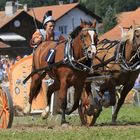 Marché Concours Saignerlégier 2008