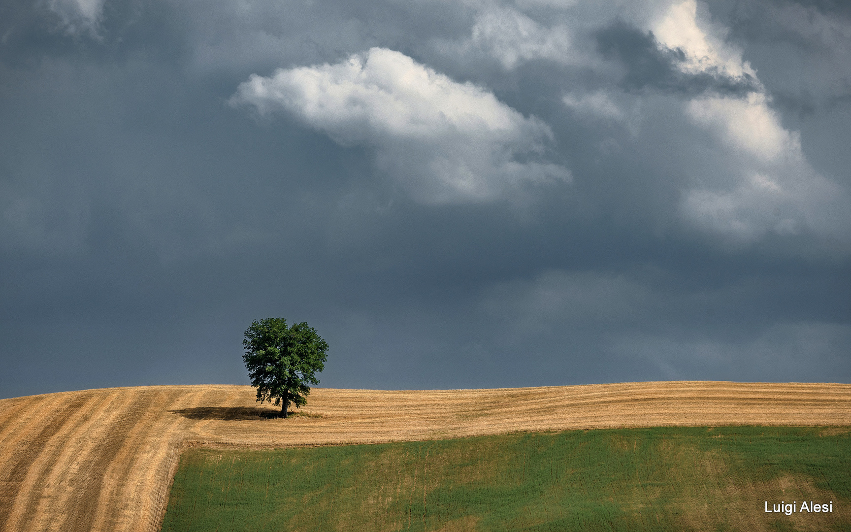 Marche countryside