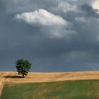 Marche countryside