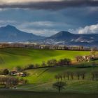 Marche countryside