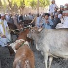 Marché de Nizwa, Oman