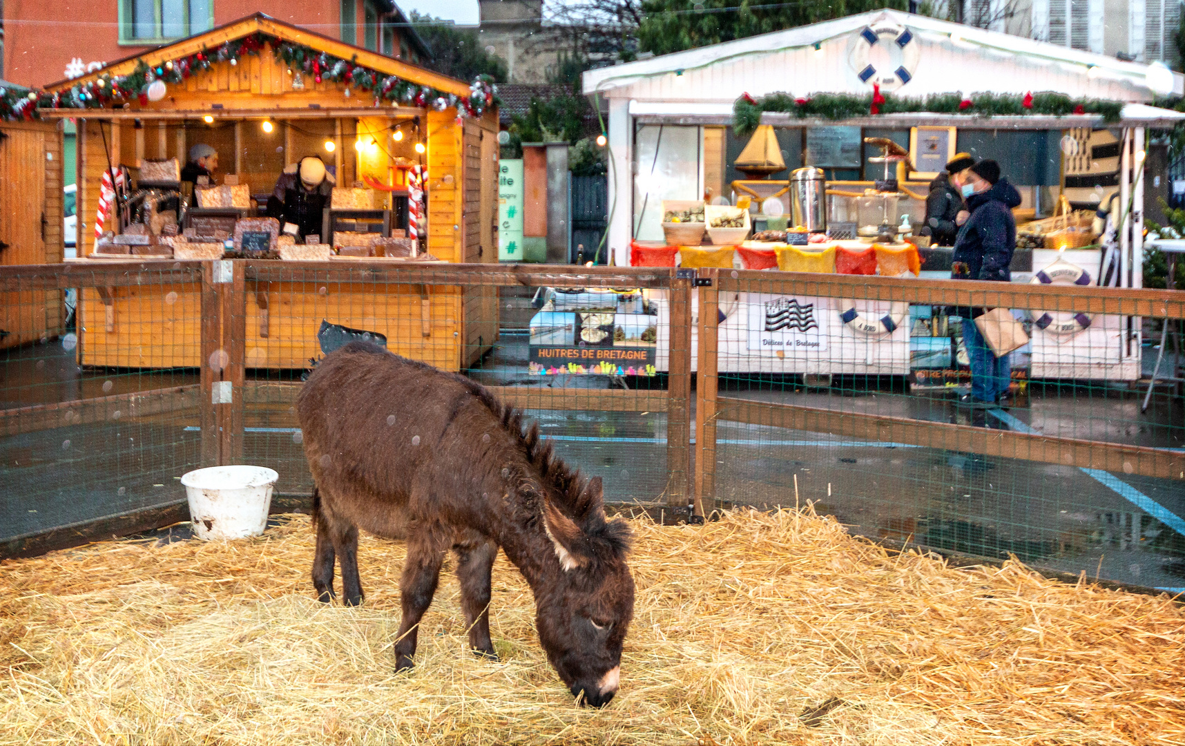 Marché de Noël à Champigny 