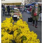 Marché de Printemps