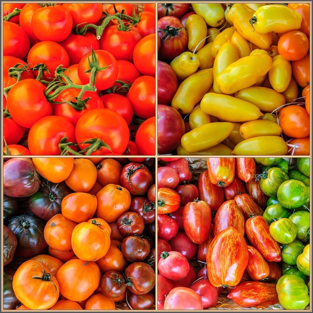 Marché de Provence - Tomaten