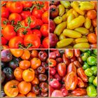 Marché de Provence - Tomaten