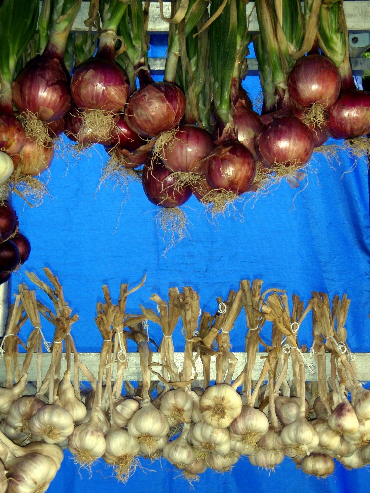 marché provençal