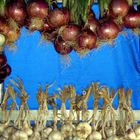 marché provençal