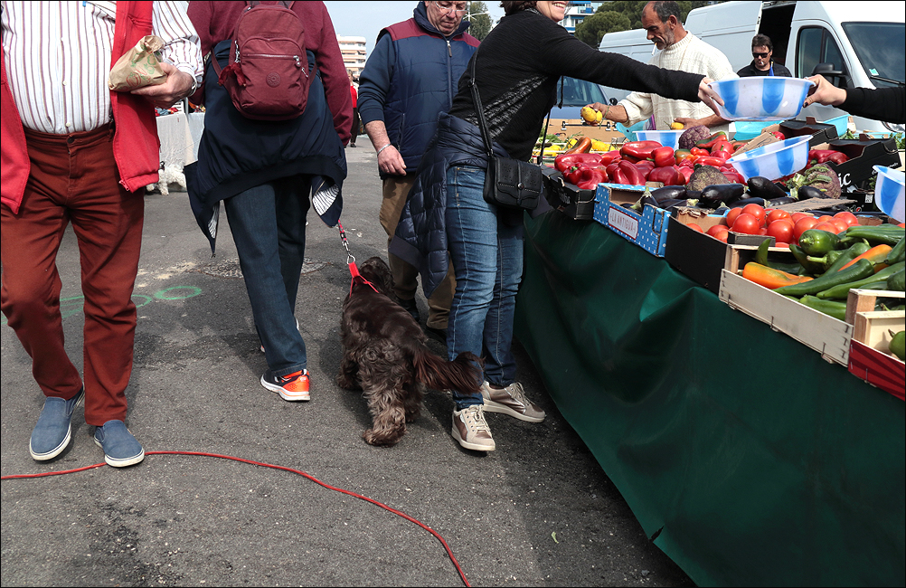 Marché rouge 