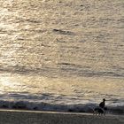 marcher au bord de l'eau !