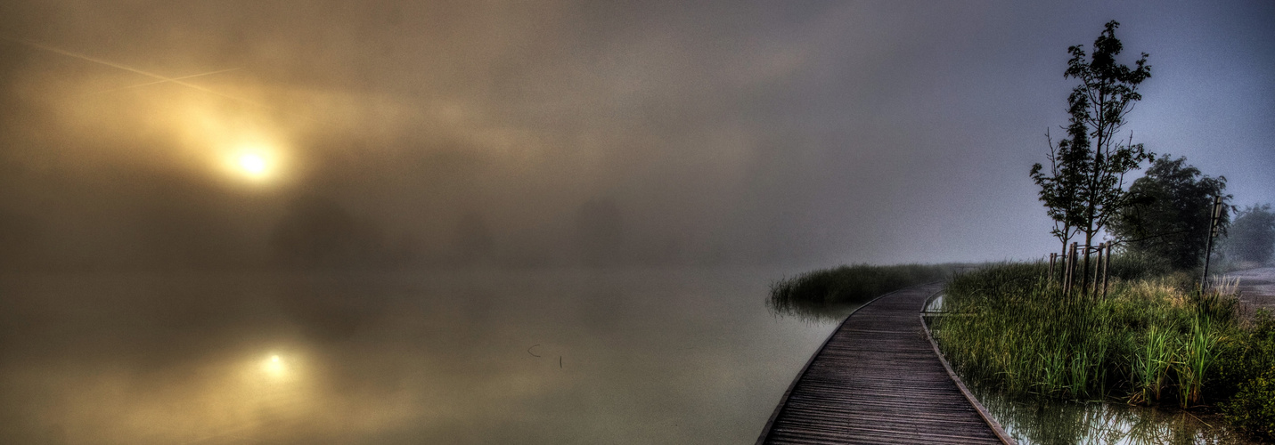 MARCHER DANS LA BRUME