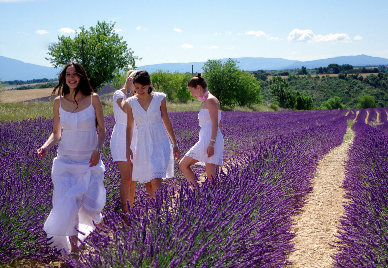 Marcher dans les lavandes ...