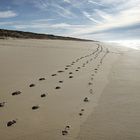 marcher sur le sable !